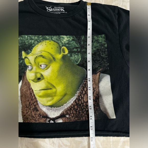 Hot Topic Shrek Custom Crop Tee Size Small - Picture 6 of 7